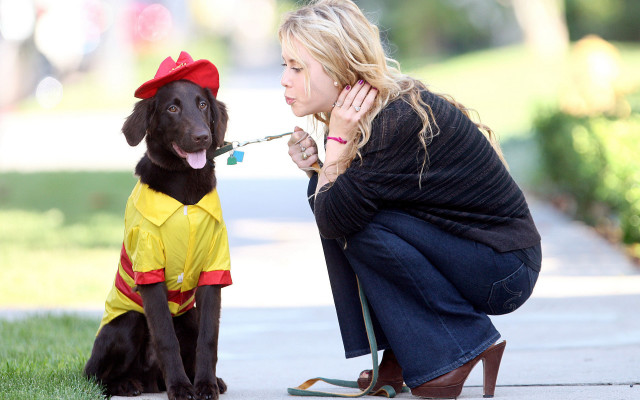Woman dog costume toothbrush blonde free wallpaper for desktop - medium preview image
