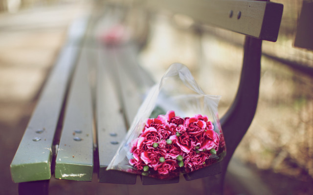Flower bouquet sunlit bench blurry free wallpaper for desktop - medium preview image