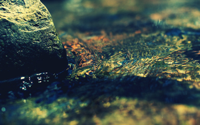 Water bottle nature macro night free wallpaper for desktop - medium preview image