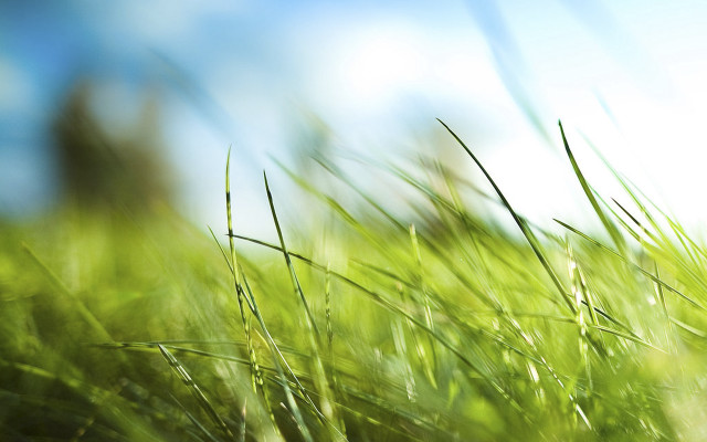 Grass sky blurry building nature free wallpaper for desktop - medium preview image