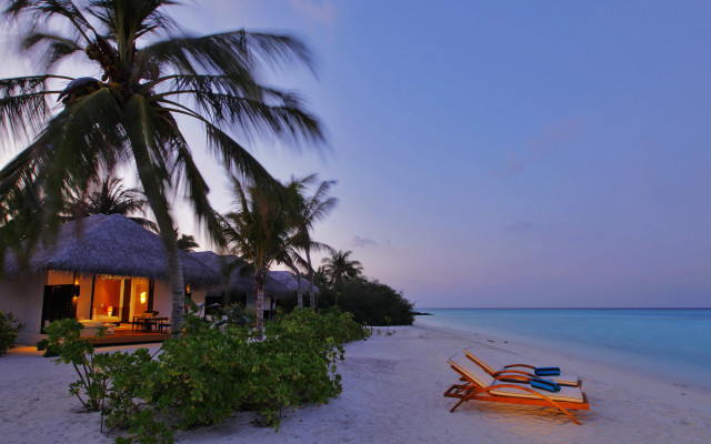 Beach hut loungers dusk palm free wallpaper for desktop - medium preview image
