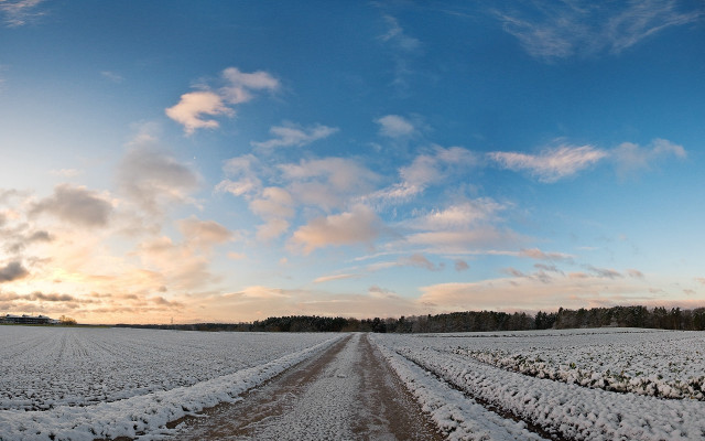 Snowy field road clouds trees free wallpaper for desktop - medium preview image