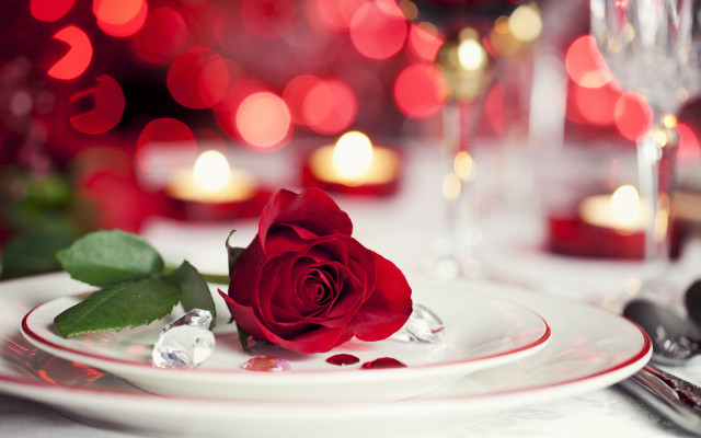 Romantic rose stilllife bokeh wine free wallpaper for desktop - medium preview image
