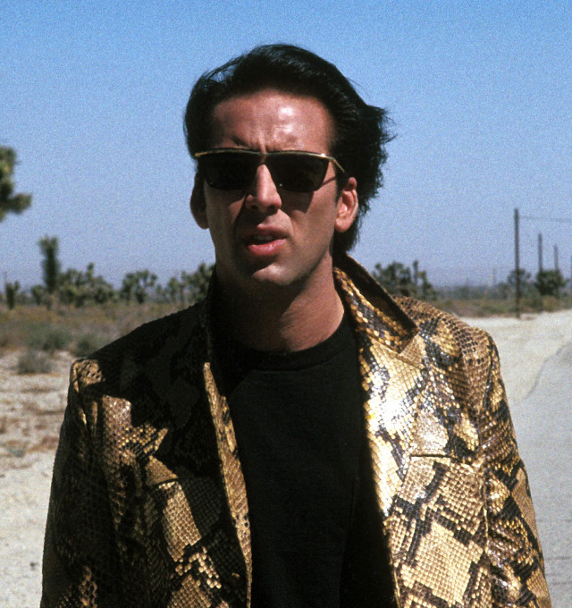 Man gold jacket sunglasses skateboard free wallpaper for tablet - medium preview image