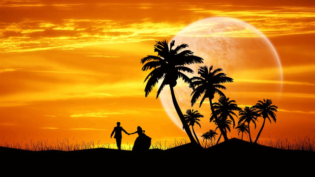 Desert sunset romantic couple palm free wallpaper for desktop - medium preview image