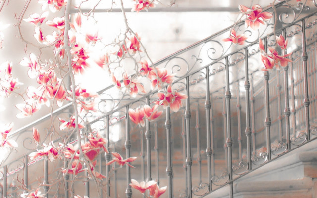 Staircase flower railings pink cherry free wallpaper for desktop - medium preview image