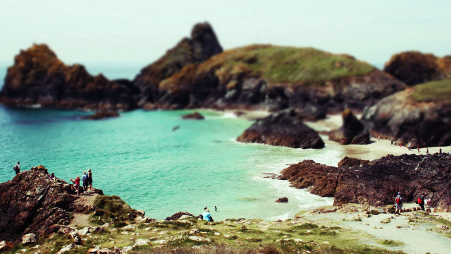 Rocky beach pleinair tiltshift bird free wallpaper for desktop - medium preview image