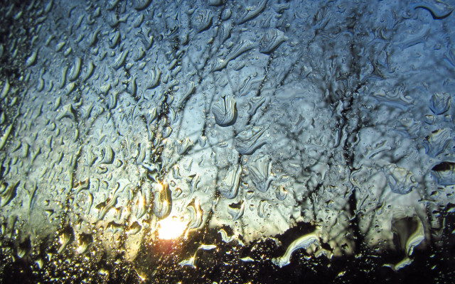 Rainy sunshine impressionism macro coral free wallpaper for desktop - medium preview image