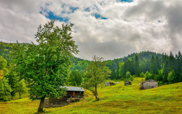 Grassy field tree cabin cloudy free wallpaper for desktop - medium preview image