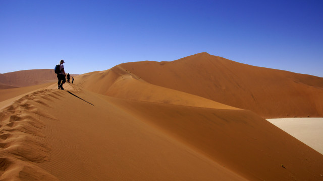 Man dog desert mountains sand free wallpaper for desktop - medium preview image