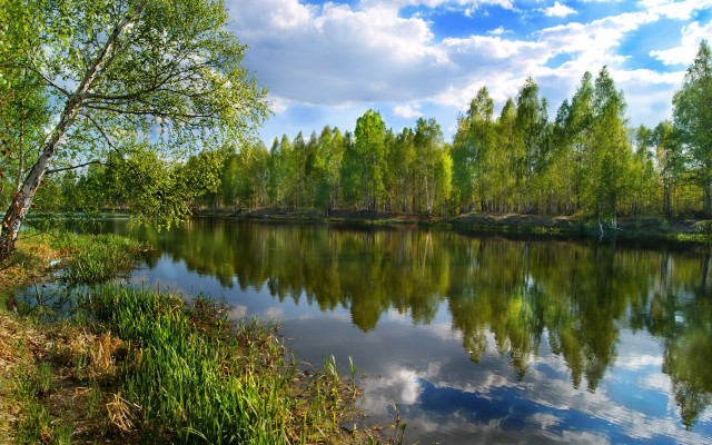 Lake trees grass cloudy sky #4 free wallpaper for desktop - medium preview image