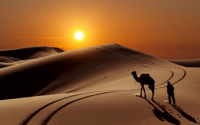 Desert sunset couple camel silhouette #2 free wallpaper for desktop - medium preview image