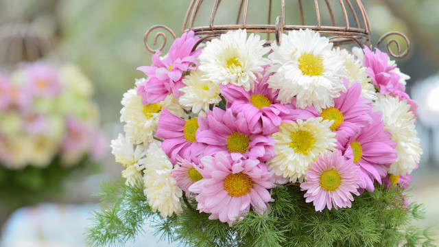 Flowers vase birdcage stilllife folkart free wallpaper for desktop - medium preview image