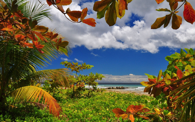 Lush green beach ocean sky free wallpaper for desktop - medium preview image