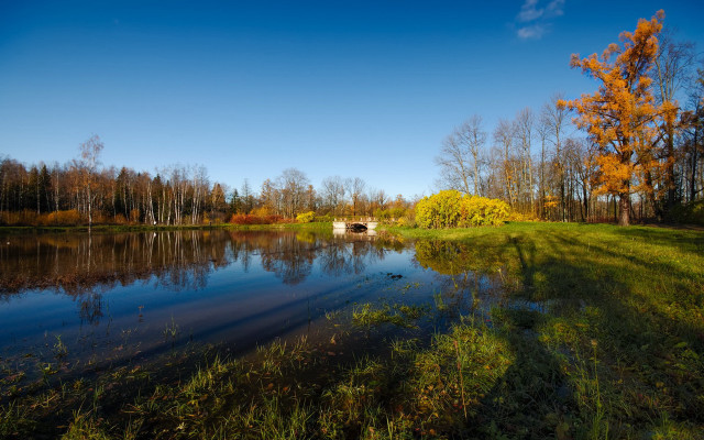 Lake bridge autumn tiltshift ecological free wallpaper for desktop - medium preview image