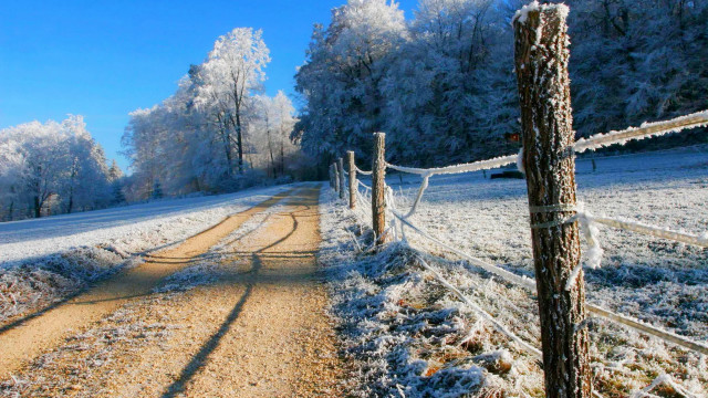 Snowy road fence trees bridge free wallpaper for desktop - medium preview image