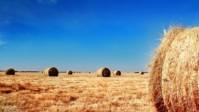Field haybales blue sky clouds free wallpaper for desktop - medium preview image