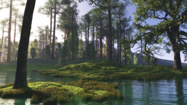 Forest lake trees grassy bank free wallpaper for desktop - medium preview image