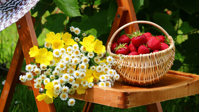 Basket strawberries daisies garden folk free wallpaper for desktop - medium preview image