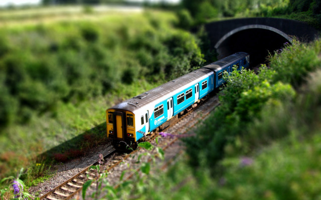 Train tunnel field bridge flowers free wallpaper for desktop - medium preview image