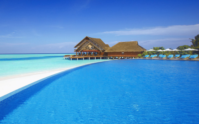 Thatched pool bar ocean horizon free wallpaper for desktop - medium preview image