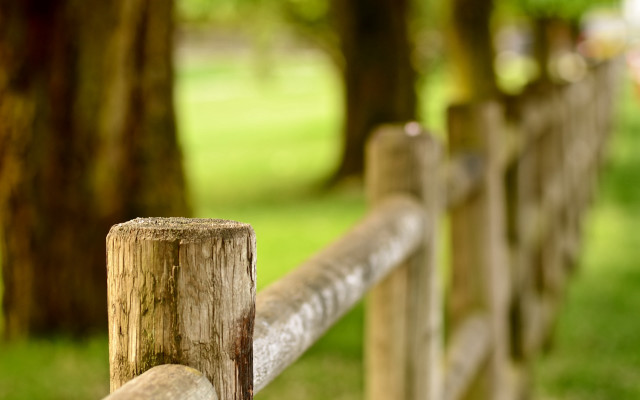 Wooden fence tree grass bokeh free wallpaper for desktop - medium preview image