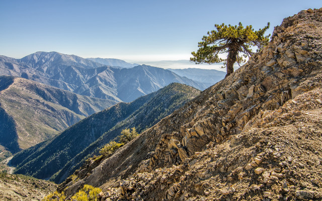 Lone pine mountain peak sky free wallpaper for desktop - medium preview image