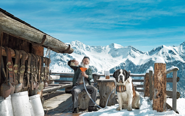 Woman bench dog snow mountains free wallpaper for desktop - medium preview image