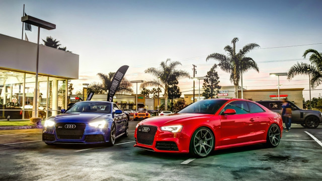 Two cars parking lot palm free wallpaper for desktop - medium preview image