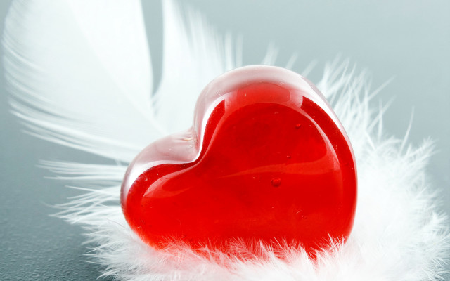 Red heart white feather gray free wallpaper for desktop - medium preview image