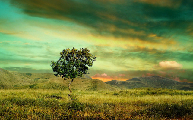 Lone tree field mountain sunset #2 free wallpaper for desktop - medium preview image