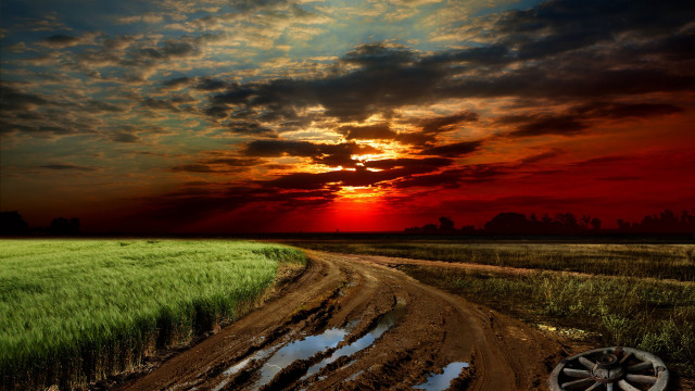 Dirt road sunset grass puddle free wallpaper for desktop - medium preview image
