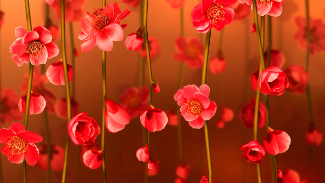 Red flowers brown wall art free wallpaper for desktop - medium preview image
