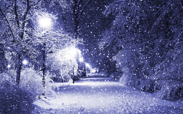 Snowy path street light trees #3 free wallpaper for desktop - medium preview image