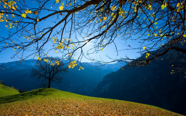 Yellow leaves hill mountains valley free wallpaper for desktop - medium preview image