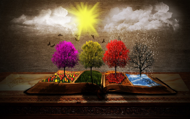 Book trees sun table illustration free wallpaper for desktop - medium preview image