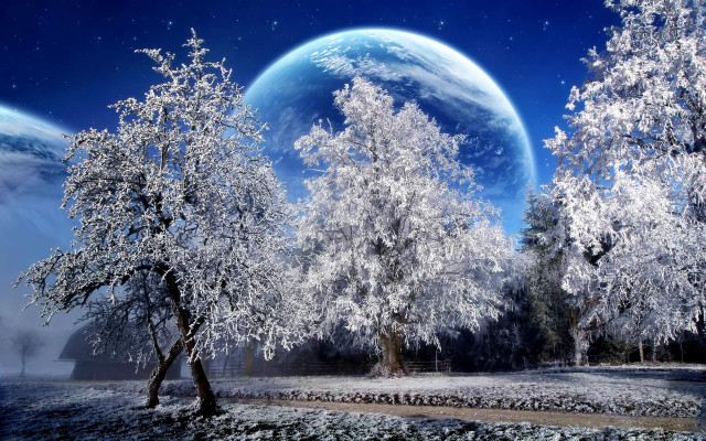 Snowy trees planet night sky free wallpaper for desktop - medium preview image