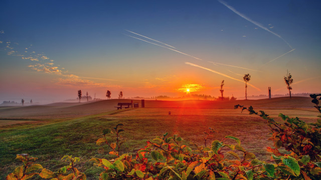 Sunset grassy field bench trees free wallpaper for desktop - medium preview image