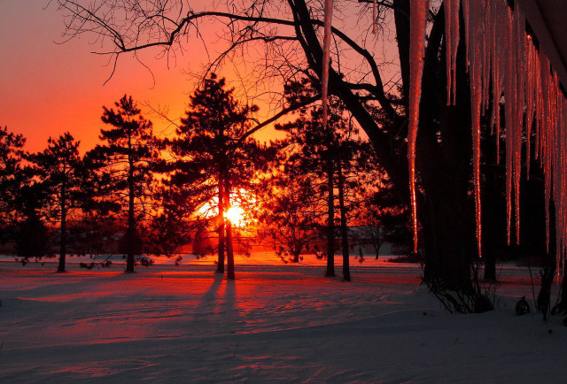 Sunset trees snow person winter free wallpaper for desktop - medium preview image