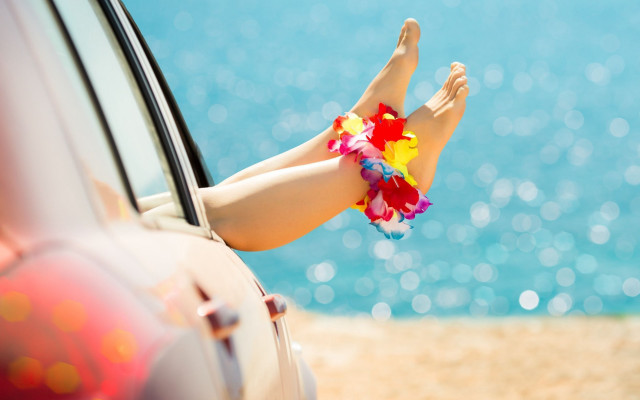 Woman legs car window flower free wallpaper for desktop - medium preview image
