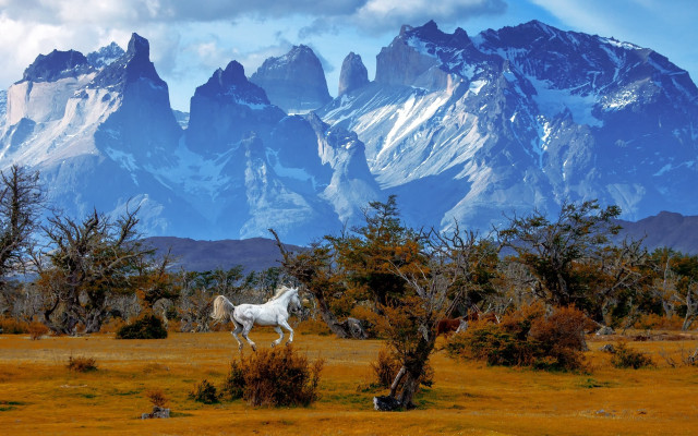 White horse mountains clouds forest free wallpaper for desktop - medium preview image