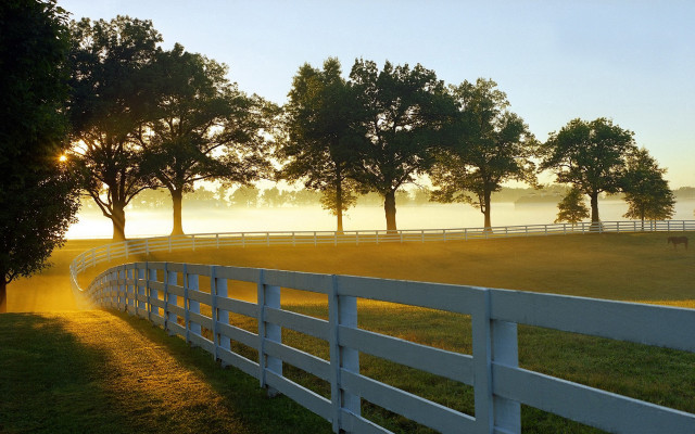 White fence autumn landscape bush free wallpaper for desktop - medium preview image
