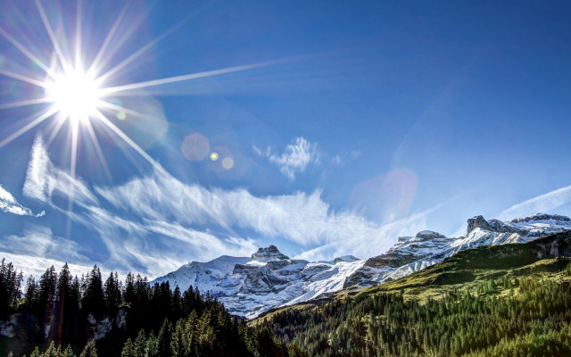 Sun mountain pine snow lake free wallpaper for desktop - medium preview image