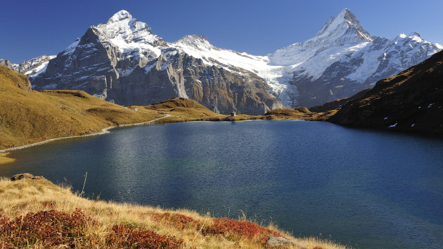 Mountain lake grassy snowy horizon free wallpaper for desktop - medium preview image