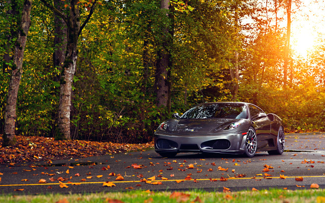 Silver sports car autumn leaves free wallpaper for desktop - medium preview image