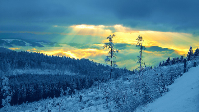 Snowy mountain trees sunset city free wallpaper for desktop - medium preview image