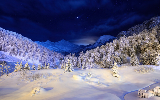 Snowy mountain trees night starry free wallpaper for desktop - medium preview image