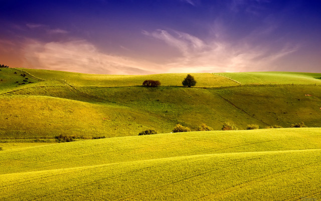 Green field trees clouds sunset #3 free wallpaper for desktop - medium preview image