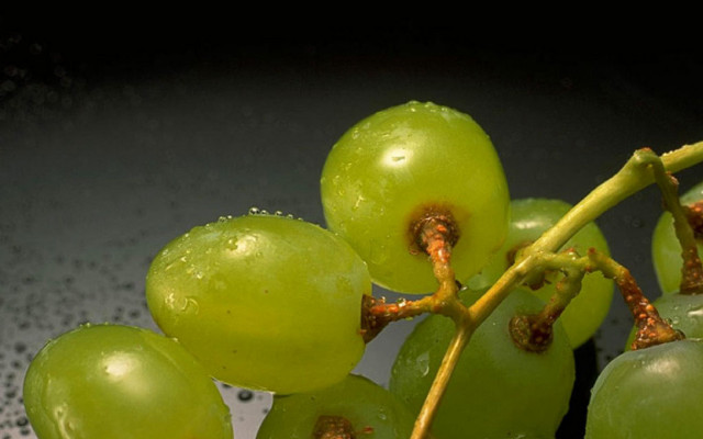 Grapes blackbowl water greenstem photorealism free wallpaper for desktop - medium preview image