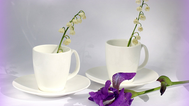 Purple flower white cup saucer free wallpaper for desktop - medium preview image